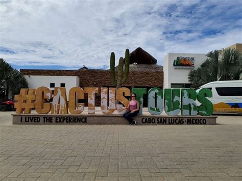 Последние твиты от baja's cactus hostel (@bajascactus). Cactus Tours (Cabo San Lucas) - 2020 Lo que se debe saber ...