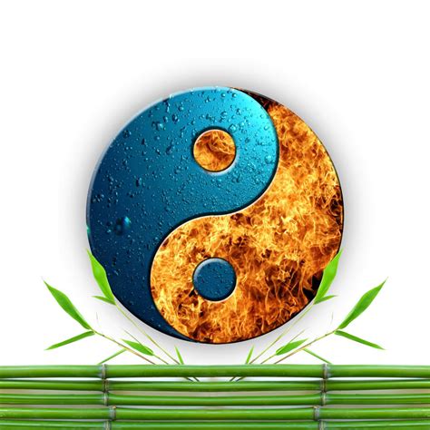 Yin Yang Symbol By Markovje On Deviantart