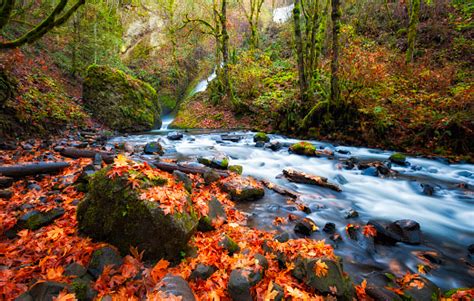 Columbia River Gorge Pictures Download Free Images On Unsplash