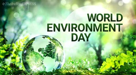 The Importance Of Celebrating World Environment Day Daily Trust