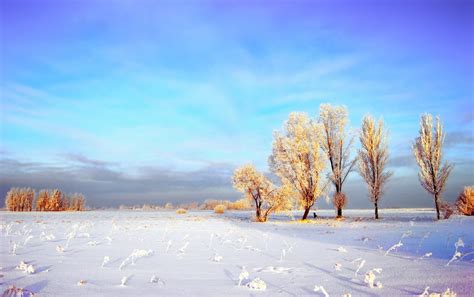 Snowy Winter Landscape Wallpapers Snowy Winter Landscape