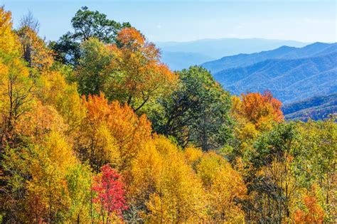 12 Jaw Dropping Places To Experience Fall In Tennessee