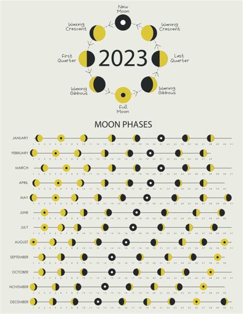 Buy Moon 2023 Lunar Phases Moonlight Witches Datebook 2023 Moon Cycle