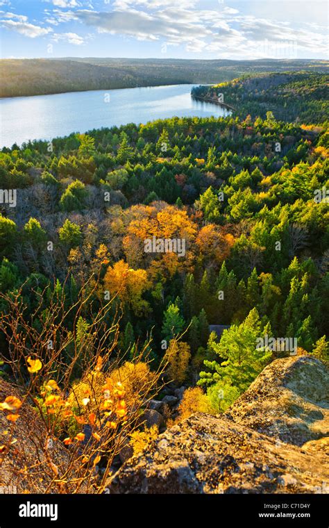 Lake And Fall Forest With Colorful Trees From Above In Algonquin Park