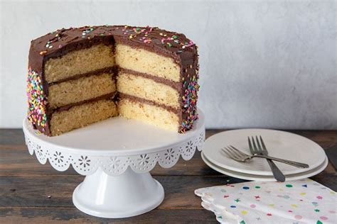 The Best Classic Yellow Birthday Cake With Chocolate Frosting Barbara