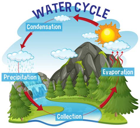 The Water Cycle “uile Le ChÉile”