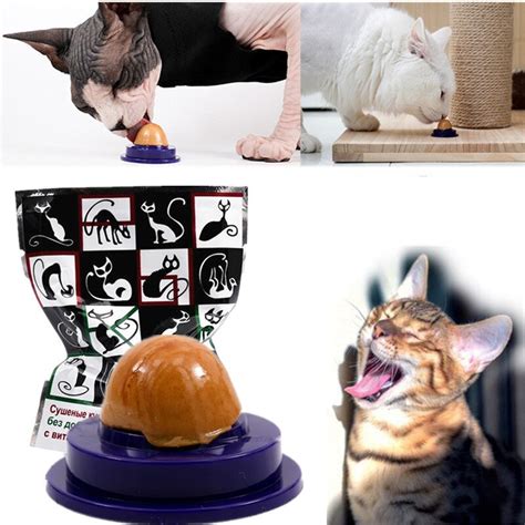 healthy cat catnip candy cat snacks licking catnip sugar cat treats sugar ball solid nutrition