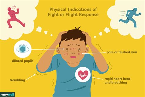 How The Fight Or Flight Response Works