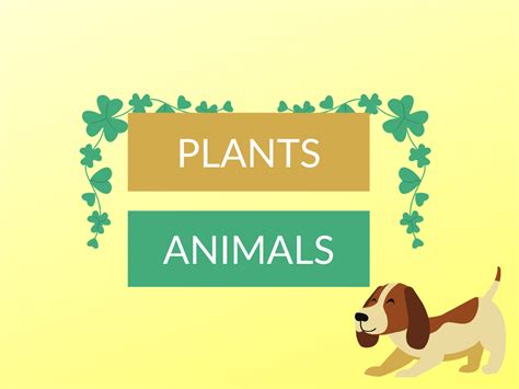 Difference Between Plants And Animals Diferr