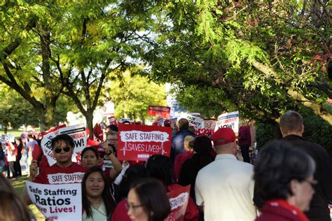 Lawsuit Albany Meds Filipino Nursing Program Violates Human
