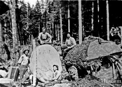 Bendickson Logging Crew Members Campbell River Museum Online Gallery