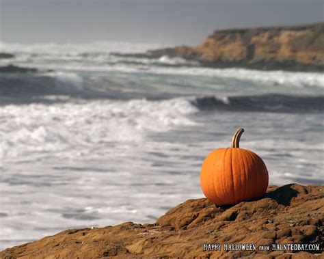 Pumpkin Beach Fall Getaways