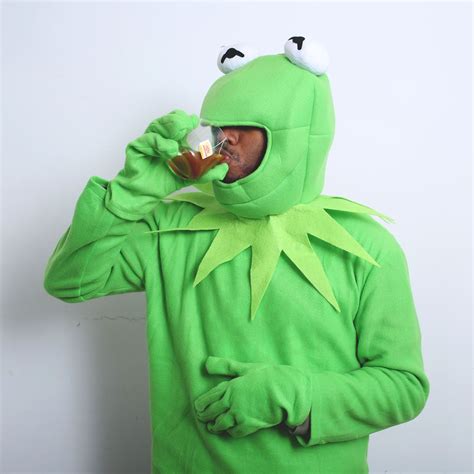 Diy Halloween Costume Kermit Tea Meme Maq Cool Halloween Costumes