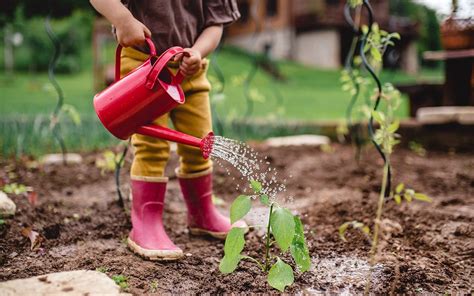 Kids Garden Chores A Guide To Backyard Tasks For Every Age
