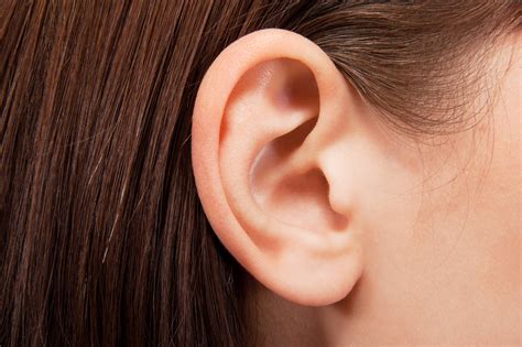 Ear Wax Buildup When You Should Clean Your Ears Kiwi Health