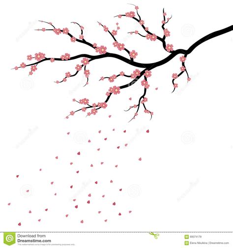 Sakura Blossom Japanese Cherry Tree With Falling Petals Cartoon Vector