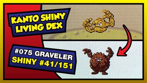 Live Shiny Geodude After Encounters Shiny Graveler