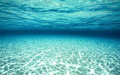 Ocean Underwater Wallpaper Hd Pixelstalk