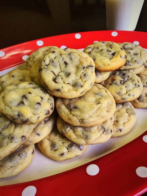 15 Quick Chocolate Chip Cookies Anyone Can Make How To Make Perfect Recipes