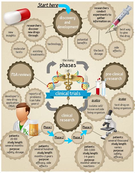 Phases Of Clinical Trials Visually