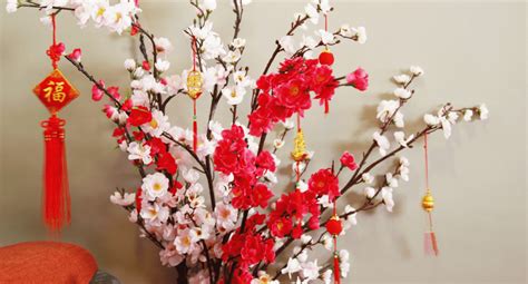 Top 31 Chinese New Year Flowers Fruits Ideas To Buy 2021