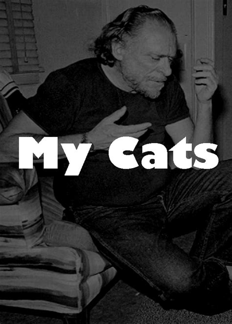 My Cats English Classics Poem Charles Bukowski