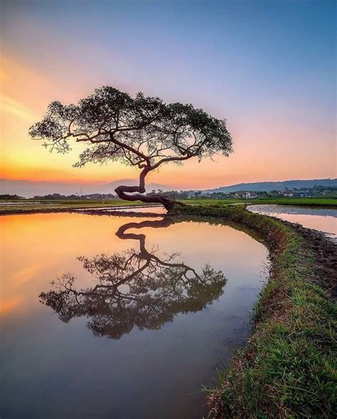 Reflection Of Nature 💚💛 Beautiful Nature Landscape Beautiful Landscapes