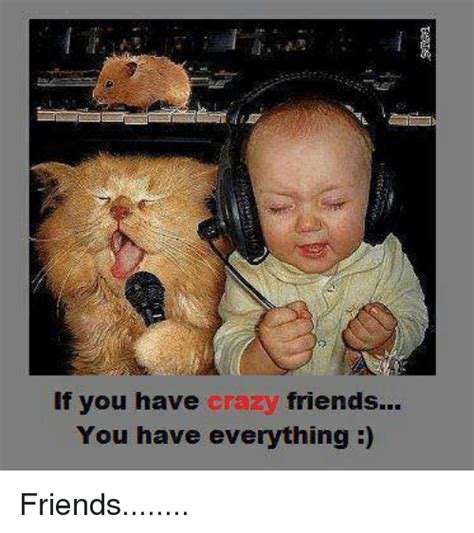 If You Have Crazy Friends You Have Everything Friends Meme On Meme