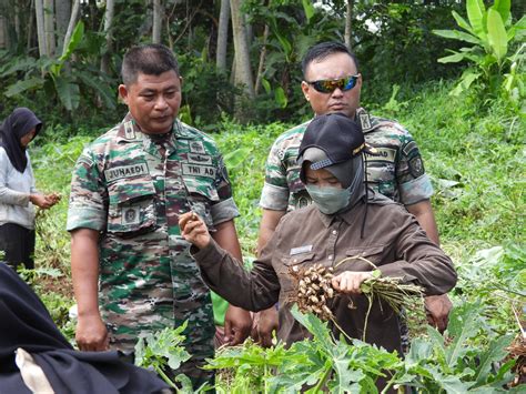 Peran TNI Dalam Mendukung Pemerintah Jaga Ketahanan Pangan Nasional