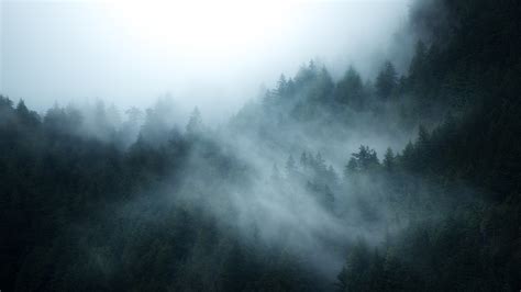 1920x1080 Resolution British Columbia Foggy Forest 1080p Laptop Full Hd