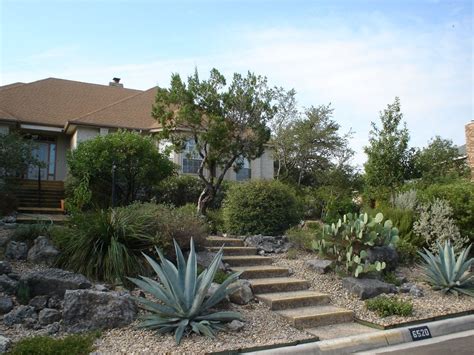 Drought Tolerant Planting And Stone Work Professional Grade Landscape