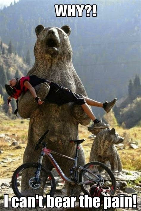 Funny Bad News Bear Pun Cycling Humor Fun With Statues Bicycle Humor