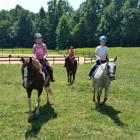 Horseback Riding Camps White Rose Equestrian Center