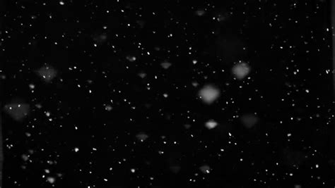 Snow Falling Stock Footage Video Shutterstock