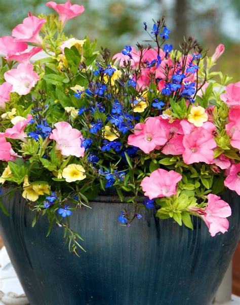 Get Inspired For Container Gardens With This Picture