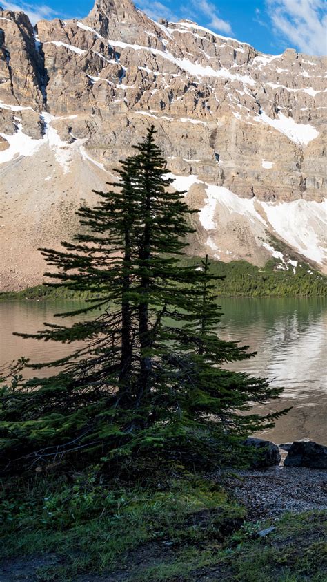 Snow Covered Mountain In Front Of Lake Between Green Palm Trees During