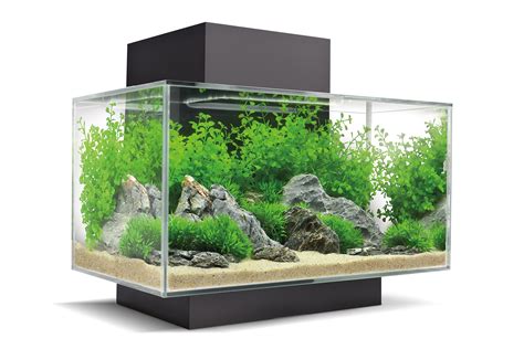 Aqueon Frameless Cube Aquarium Gallon Ubicaciondepersonascdmxgobmx
