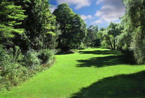 315 Golf Course Landscape Treeline Shadows Photograph By Eric