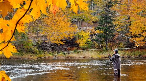 5 Fall Foliage Vacations For Active Leaf Peepers Nea