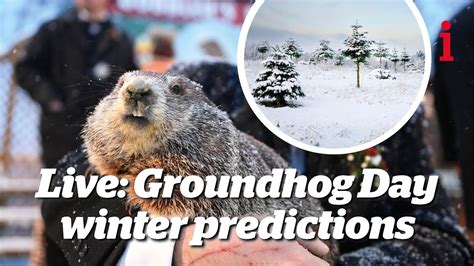 What Does Groundhog Day Mean 2022