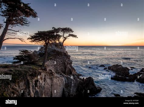 Lone Cypress Tree 17 Mile Drive Hi Res Stock Photography And Images Alamy