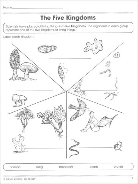 The Five Kingdoms Of Living Things Worksheets Unit 1 Characteristics