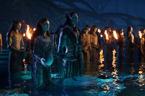 avatar 2 bailey bass on filming the sequel learning to free dive and the advice zoe saldana