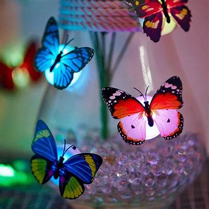 Butterfly Magic Romantic