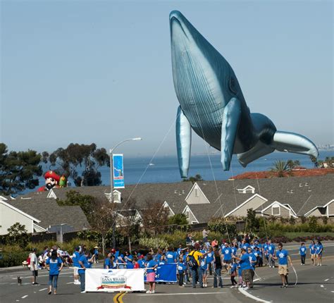 Dana Point Festival Of Whales What To Expect For 2016 Event This