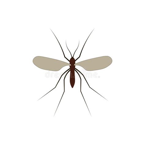 Mosquito Illustration Isolated On A White Background Stock Illustration