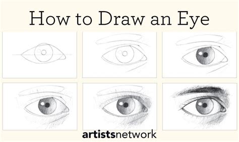 Learn Drawing For Beginners With Easy Step By Step Tips