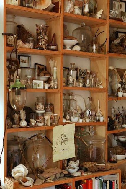 Collections And Cabinets Of Curiosities Cabinet Of Curiosities Natural