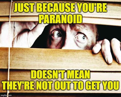 Paranoid Imgflip