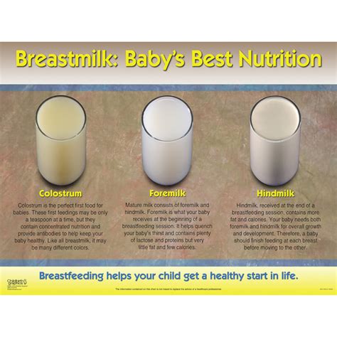 Breast Milk Chart Ubicaciondepersonascdmxgobmx